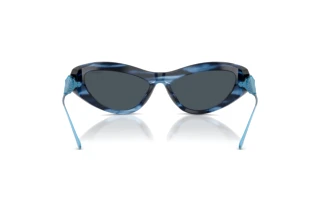 Rear view Swarovski SK6046 (109087)