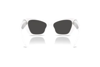 Rear view Swarovski SK6047 (105087)