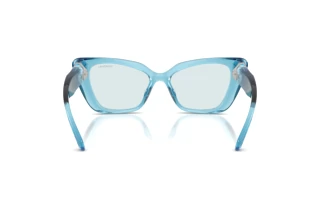 Rear view Swarovski SK6047 (107872)