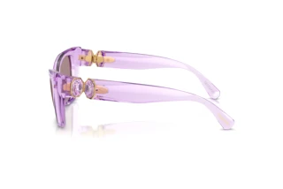 Side view Swarovski SK6047 (1079LA)