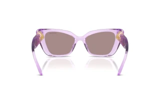 Rear view Swarovski SK6047 (1079LA)