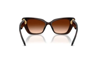 Rear view Swarovski SK6047 (108474)