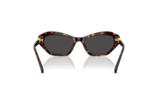 Rear view Swarovski SK6048 (100287)