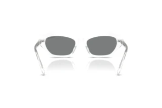 Rear view Swarovski SK6048 (102787)