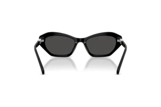 Rear view Swarovski SK6048 (103887)