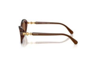 Side view Swarovski SK6048 (108473)