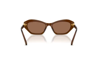 Rear view Swarovski SK6048 (108473)