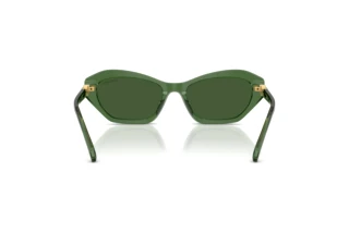 Rear view Swarovski SK6048 (108571)