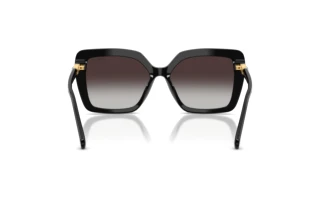 Rear view Swarovski SK6049 (10018G)