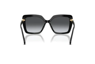 Rear view Swarovski SK6049 (1001T3)