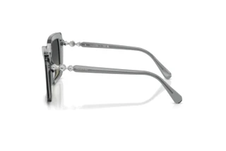 Side view Swarovski SK6049 (106211)