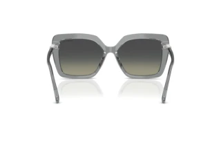 Rear view Swarovski SK6049 (106211)