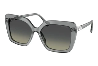 Front view Swarovski SK6049 (106211)
