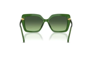 Rear view Swarovski SK6049 (10812A)