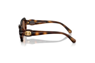 Side view Swarovski SK6050 (100273)