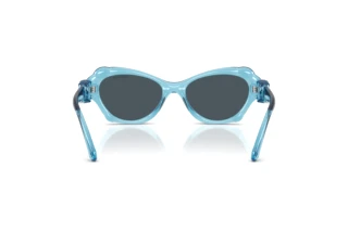 Rear view Swarovski SK6050 (107887)