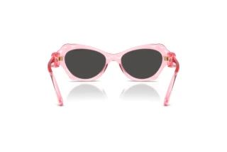 Rear view Swarovski SK6050 (108887)