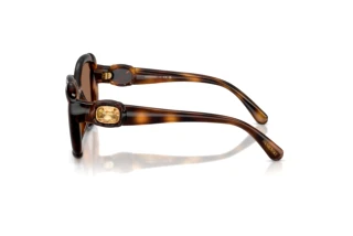 Side view Swarovski SK6051U (100273)