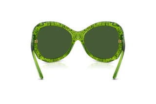 Rear view Swarovski SK6052 (108971)