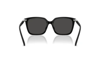 Rear view Swarovski SK6053D (103887)