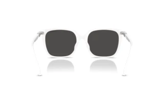 Rear view Swarovski SK6053D (105087)