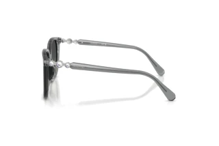 Side view Swarovski SK6053D (106211)