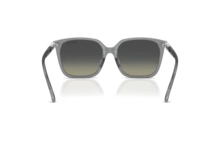 Rear view Swarovski SK6053D (106211)