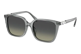 Front view Swarovski SK6053D (106211)
