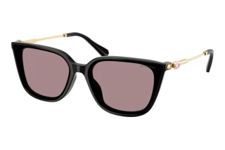Front view Swarovski SK6054D (1001LA)