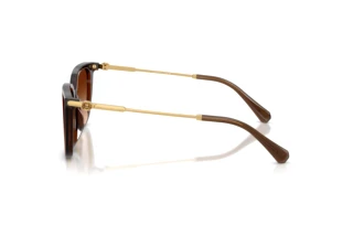 Side view Swarovski SK6054D (108474)