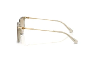 Side view Swarovski SK6054D (300311)