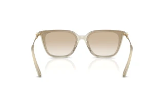 Rear view Swarovski SK6054D (300311)