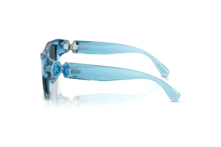 Side view Swarovski SK6056U (107887)