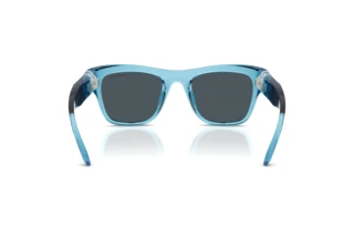 Rear view Swarovski SK6056U (107887)