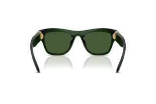 Rear view Swarovski SK6056U (108171)