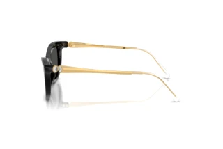Side view Swarovski SK6057 (100187)