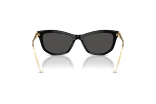 Rear view Swarovski SK6057 (100187)
