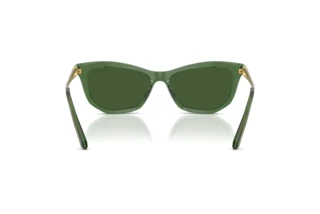 Rear view Swarovski SK6057 (108571)