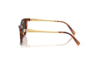 Side view Swarovski SK6057 (109187)