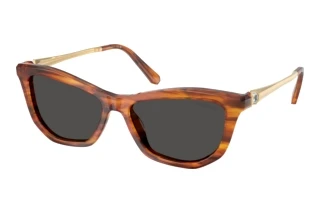 Front view Swarovski SK6057 (109187)