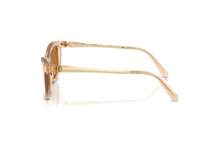 Side view Swarovski SK6057 (109273)