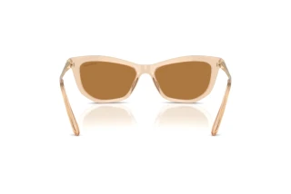 Rear view Swarovski SK6057 (109273)