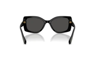 Rear view Swarovski SK6058U (100187)