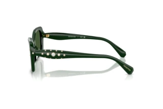Side view Swarovski SK6058U (102671)
