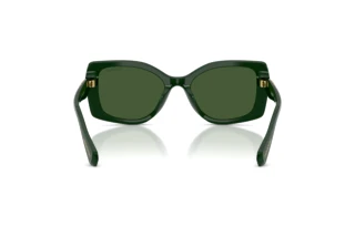 Rear view Swarovski SK6058U (102671)