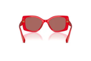 Rear view Swarovski SK6058U (110369)