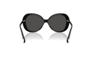 Rear view Swarovski SK6059 (103887)