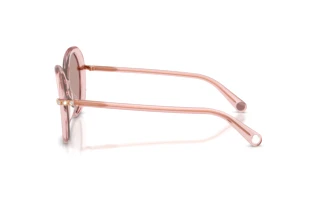 Side view Swarovski SK6059 (10977N)
