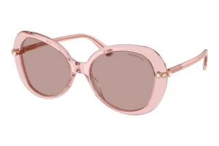 Front view Swarovski SK6059 (10977N)