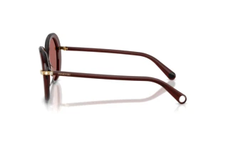 Side view Swarovski SK6059 (109869)